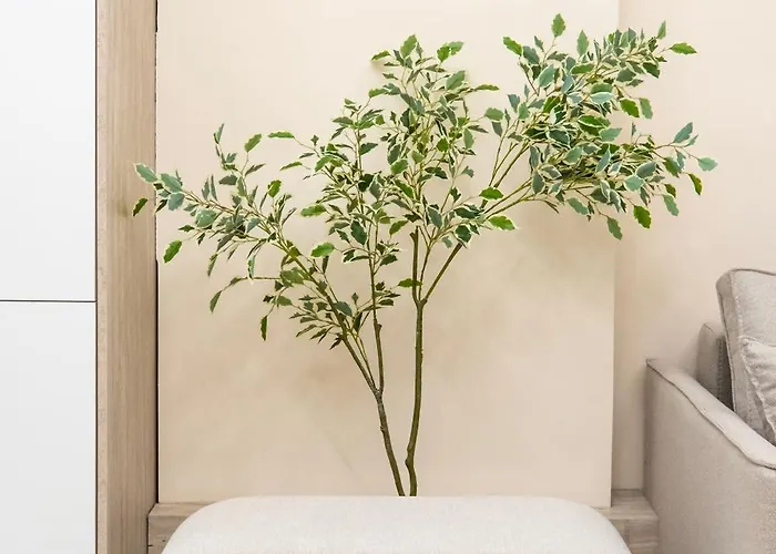 Modern 2br At New Bazaar - Apartment Tirana